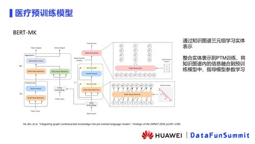 華為云蘇嘉 融合預訓練模型與知識圖譜，構建新一代醫療推理信息系統集成服務